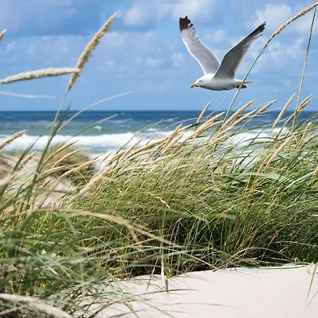 Duplex At With Stunning Sea Views