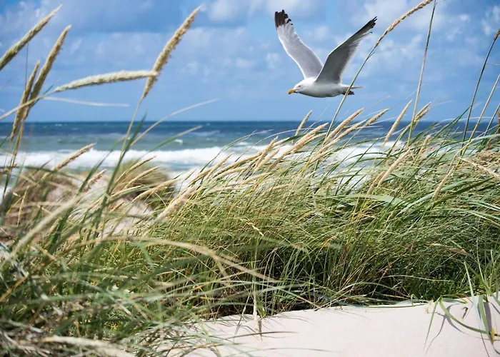 Duplex At With Stunning Sea Views